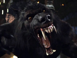 wolfking34