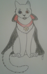 katiekinzwolf