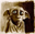 Neort