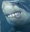 MNYSHOT4U61