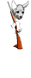pixie_user-78
