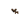Sprite #109478