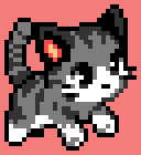 Kitten