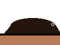 test1