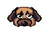 sdog