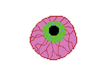 Eye can see you