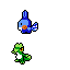 Hoenn Starters