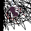 Spider bite