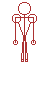 backbone