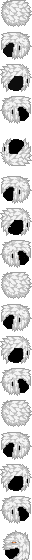 Sprite #151082