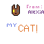 My Cat SIMBA