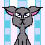 gray cat 