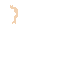 goro