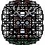 jack rabbit