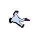 bird2
