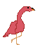 flamingooo2