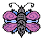 the first butterfly