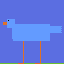 a bird