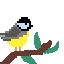 bird