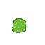 Mini Cacti