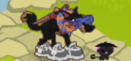 animal jam play now