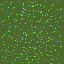 grass