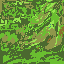 grass