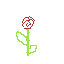 rose