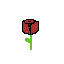 sant jordi