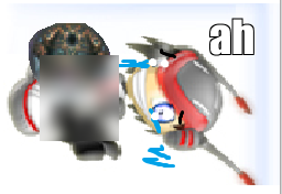 zuma frog sex vector