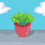 planta