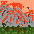 Vulkanausbruch 