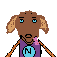 nova