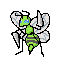 15- Beedrill*