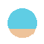 fishy egg