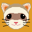 ferret