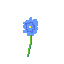 A simple flower 2