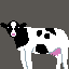 a simple fat cow