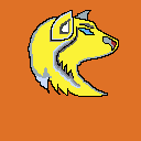 yellow wolf with brown BG