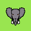 elephant br