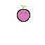 dddd