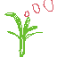 PLANT SIGNAL 