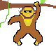 evolution of monkey