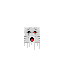ghast