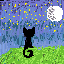 cat blak