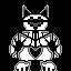 cool dog