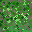 Sprite #47010